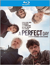 Perfect Day, A
