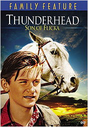 Thunderhead, Son of Flicka