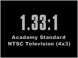 Academy Standard (1.33:1)