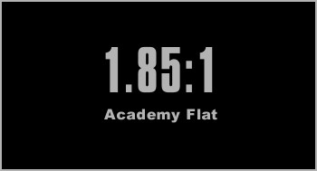 Academy Flat (1.85:1)